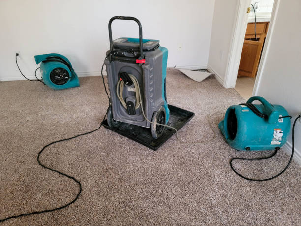 Best Commercial water damage restoration  in Perry, UT