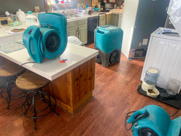 Best 24/7 water damage repair  in Perry, UT