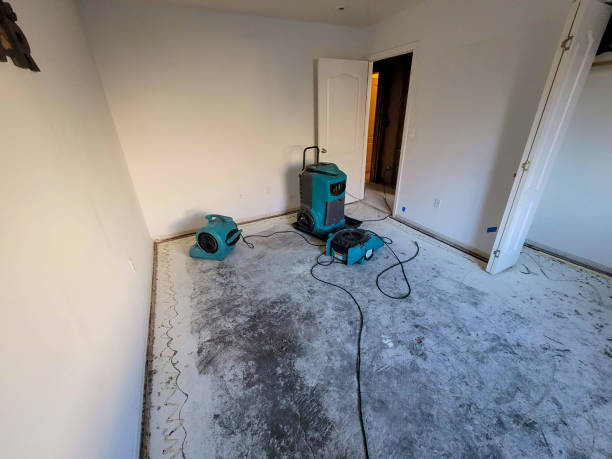 Best Professional water damage repair  in Perry, UT