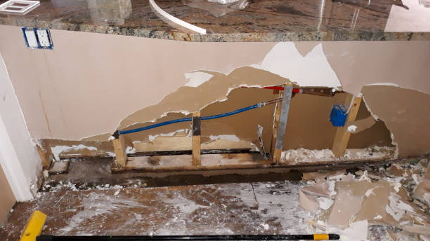 Best Mold removal after water damage  in Perry, UT