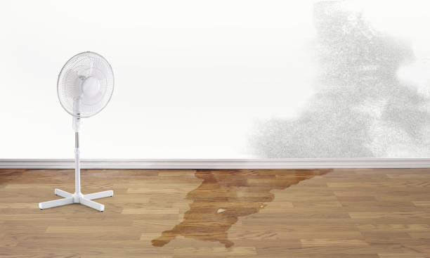 Best Water damage restoration services  in Perry, UT