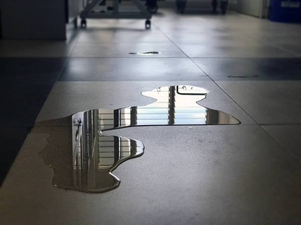 Best Local water damage restoration  in Perry, UT