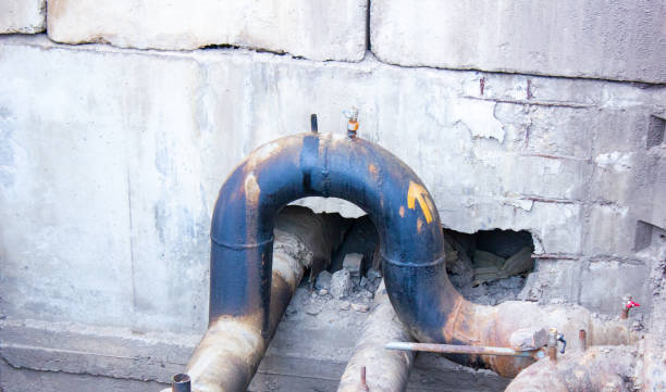Best Professional water damage repair  in Perry, UT