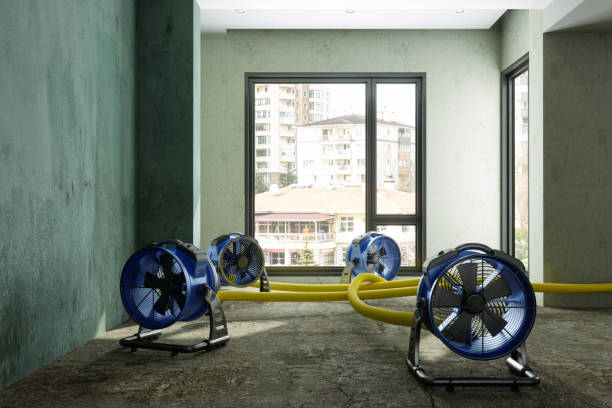 Best Mold removal after water damage  in Perry, UT
