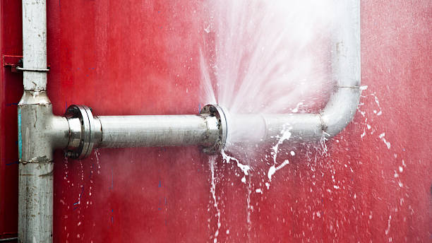 Best Carpet water damage restoration  in Perry, UT
